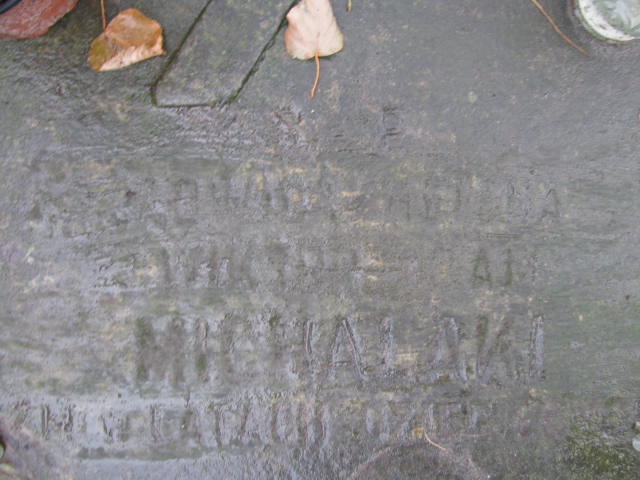 Józefa Michalak Nowe Miasto nad Pilicą - Grobonet - Wyszukiwarka osób pochowanych