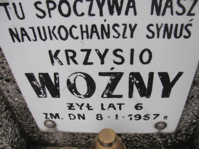 Krzysztof Woźny Nowe Miasto nad Pilicą - Grobonet - Wyszukiwarka osób pochowanych