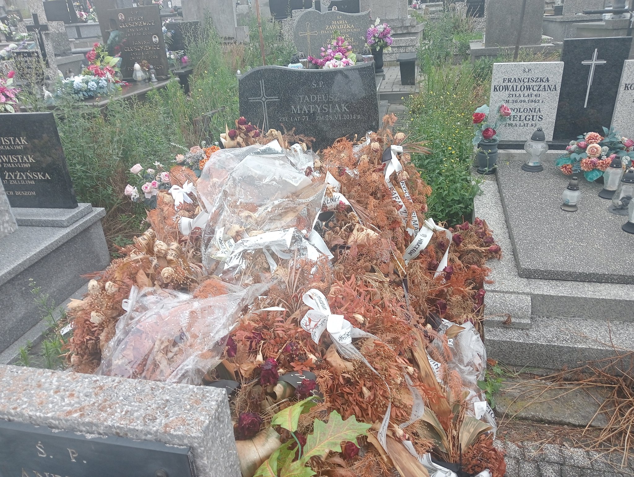 Grób Jadwiga Matysiak